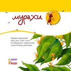 Пізнаю світ. Мурахи. Image №9
