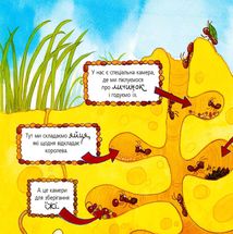 Пізнаю світ. Мурахи. Image №4