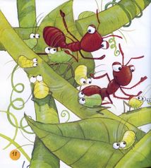 Пізнаю світ. Мурахи. Image №7