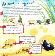 Пізнаю світ. Мурахи. Image №8