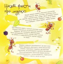 Пізнаю світ. Мурахи. Image №6