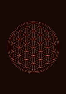 Чарівники й чаклунки. Посібник із магії для початківців. Image №9