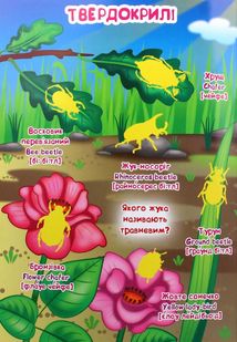 Велика книжка. Комахи та павукоподібні. Image №13