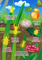 Велика книжка. Комахи та павукоподібні. Image №14