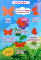 Велика книжка. Комахи та павукоподібні. Image №11