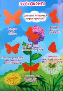 Велика книжка. Комахи та павукоподібні. Image №11