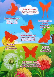 Велика книжка. Комахи та павукоподібні. Image №12