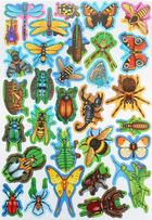 Велика книжка. Комахи та павукоподібні. Image №16