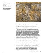 Treasures of Ukraine. A nation's cultural heritage. Зображення №10