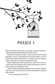 Блиск. Книга 1. Image №3