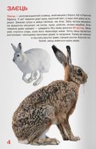Велика книжка. Дикі Тварини. Image №5