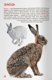 Велика книжка. Дикі Тварини. Image №5