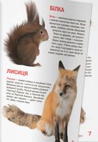 Велика книжка. Дикі Тварини. Image №6