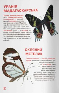 Велика книжка. Комахи. Image №3