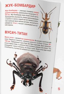 Велика книжка. Комахи. Image №4