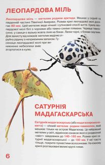 Велика книжка. Комахи. Image №5