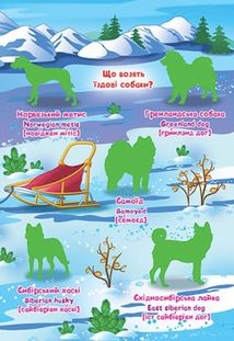 Велика книжка. Розвивальні наліпки. Розумнi завдання. Собаки. Image №7