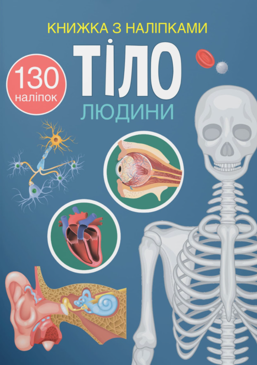 з наліпками. Тіло людини