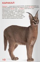 Велика книжка. Дикі Тварини. Image №9