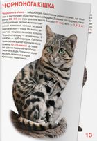 Велика книжка. Дикі Тварини. Image №10