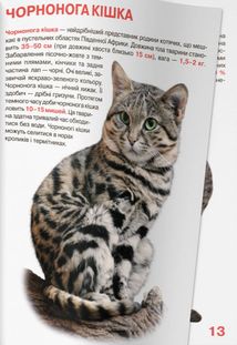 Велика книжка. Дикі Тварини. Image №10