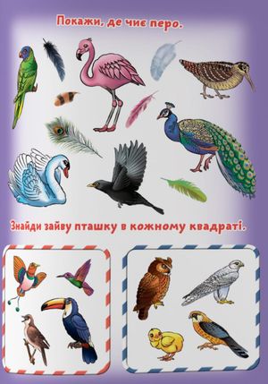 Великі водяні розмальовки з кольоровим контуром. Птахи — фото 8