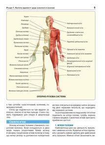 Екстрена допомога в разі ДТП. Посібник з порятунку. Зображення №6