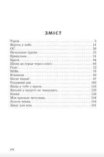 Ворота у небо. Фантастичний феєрверк. Image №3