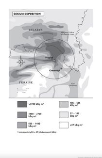 Chernobyl. History of a Tragedy. Image №6