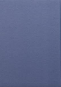 Бунт Речей. Зображення №2