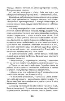 Скрипка Спіріт Лейку. Зображення №4