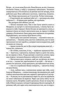 Скрипка Спіріт Лейку. Зображення №7