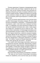 Очеретяні серафими. Зображення №7