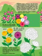 Розвивальні зошити. Рожева книжка про квіти. Зображення №5