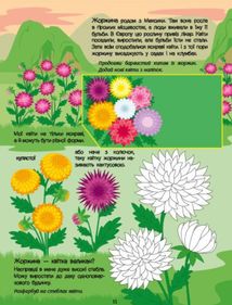 Розвивальні зошити. Рожева книжка про квіти. Зображення №5