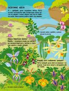 Розвивальні зошити. Рожева книжка про квіти. Зображення №6
