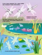 Розвивальні зошити. Зелена книжка про комашок. Зображення №5