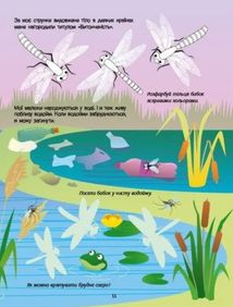 Розвивальні зошити. Зелена книжка про комашок. Зображення №5