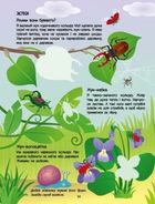 Розвивальні зошити. Зелена книжка про комашок. Зображення №6