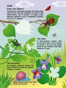 Розвивальні зошити. Зелена книжка про комашок. Зображення №6