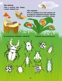 Розвивальні зошити. Зелена книжка про комашок. Зображення №7