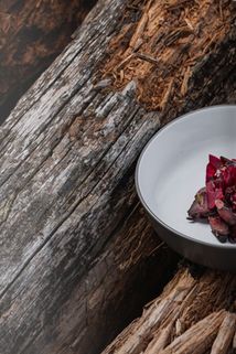 Cooking in the Wild . Зображення №11