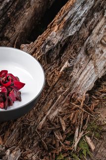 Cooking in the Wild . Зображення №12