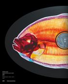 Contemporary Sacred Art. Image №8