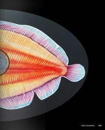 Contemporary Sacred Art. Image №9