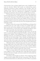 Women who run with the wolves. Зображення №7