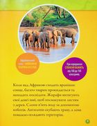Гррр! 100 цікавих фактів про тварин Африки . Image №5