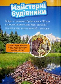 Тварини-будівники . Image №3