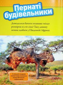 Тварини-будівники . Image №5