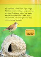 Тварини-будівники . Image №7